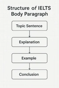 Body paragraph structure in IELTS essay writing